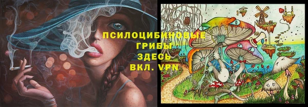 а пвп мука Абаза