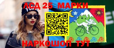гидра Заволжье