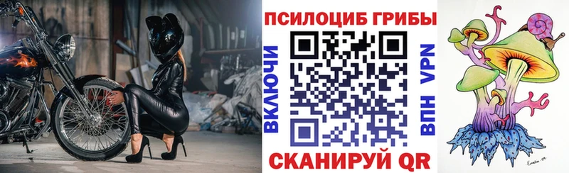 Галлюциногенные грибы MAGIC MUSHROOMS  где продают   Нальчик 